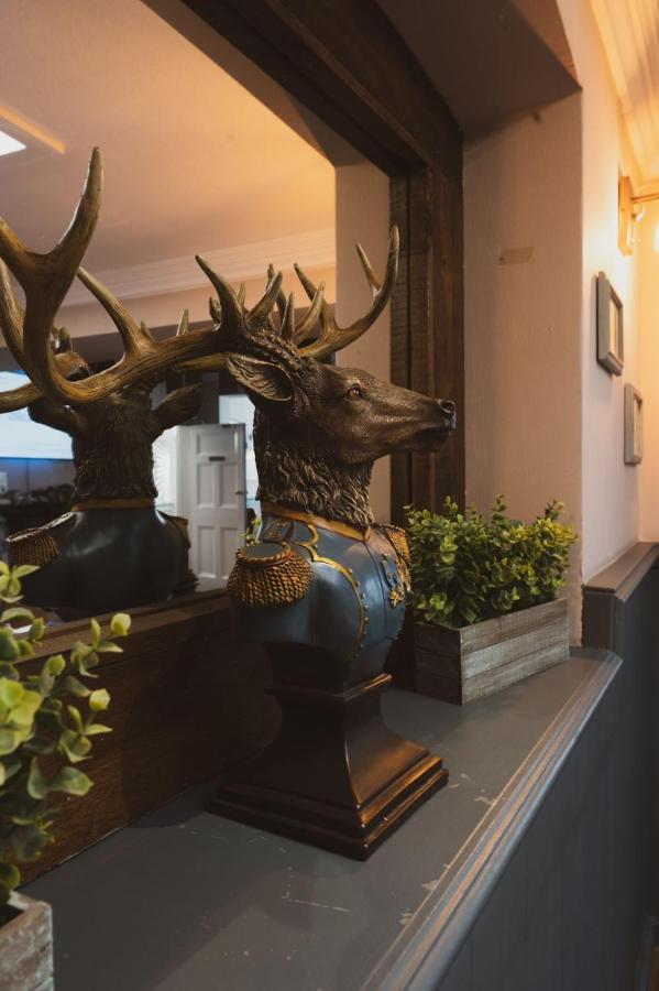 The Stag Hotel And Mailmans Arms Lyndhurst Luaran gambar