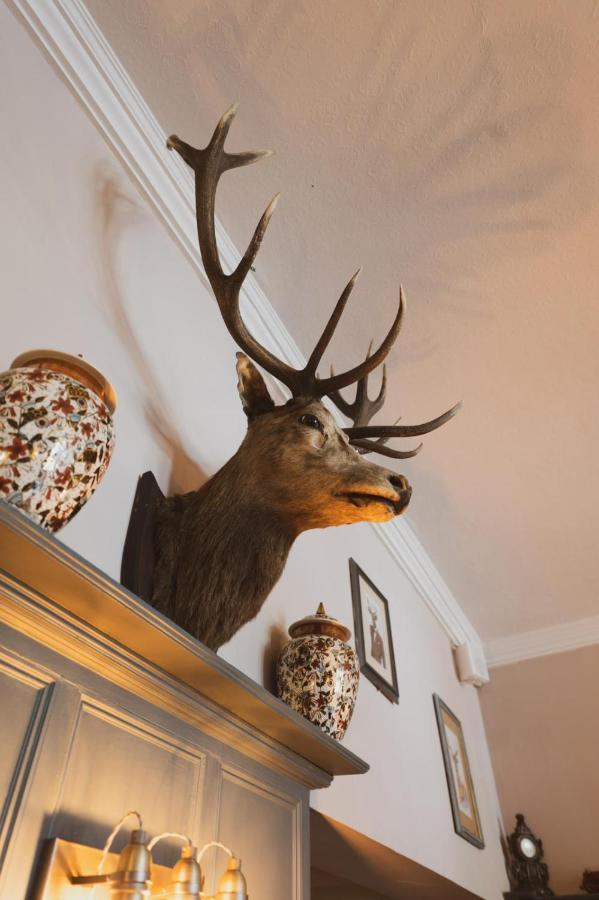 The Stag Hotel And Mailmans Arms Lyndhurst Luaran gambar